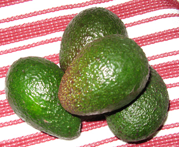 Avocado.jpg