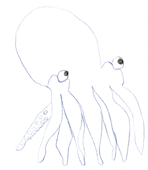 OctopusSmall.jpg