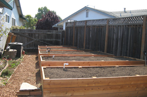 RaisedBeds1.jpg