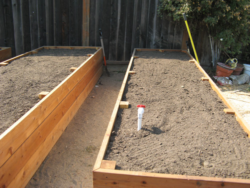 RaisedBeds2.jpg