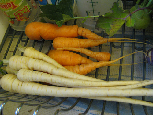 ParsnipCarrot.jpg