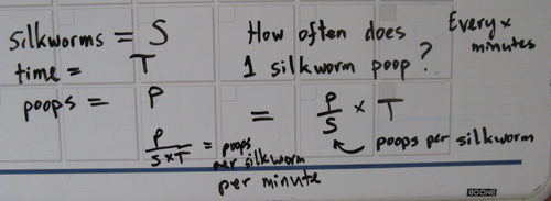 SilkwormAlgebra